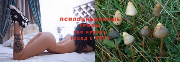 амф Алексеевка