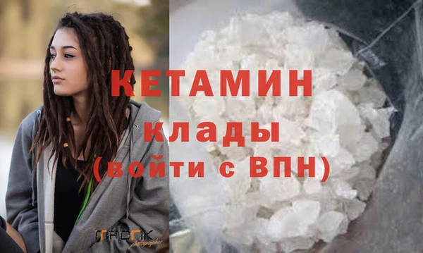 крисы Новодвинск