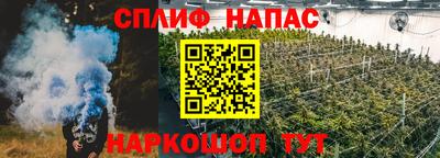 стаф Ливны