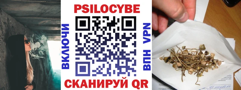 Галлюциногенные грибы Magic Shrooms  где можно купить   Троицк 
