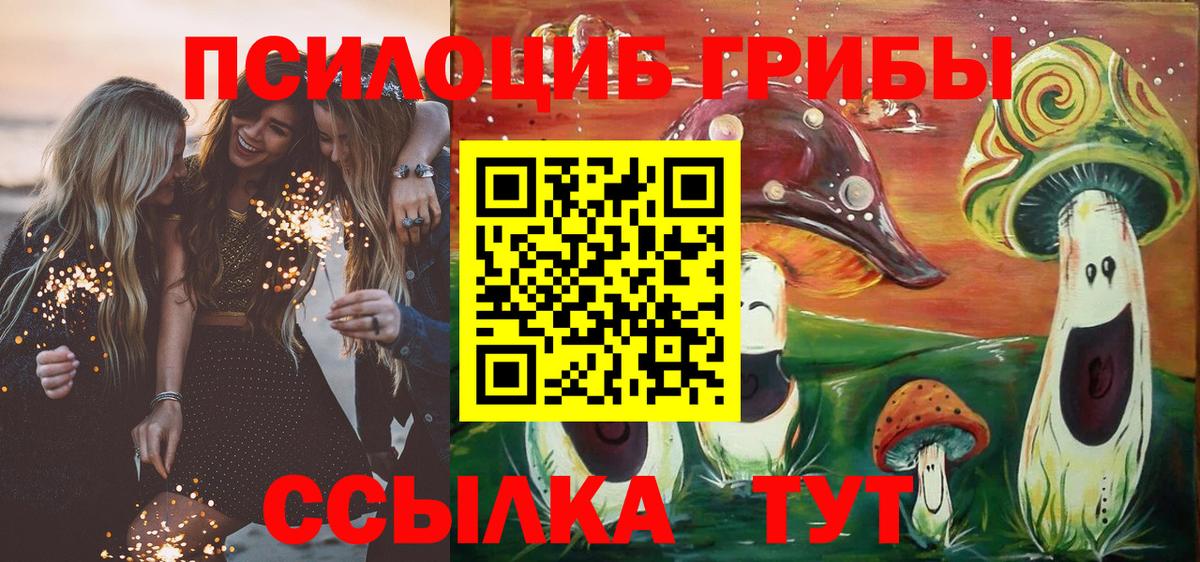 Псилоцибиновые грибы Cubensis Троицк